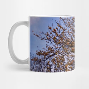 Spring flowers pictures, peach colors Mug